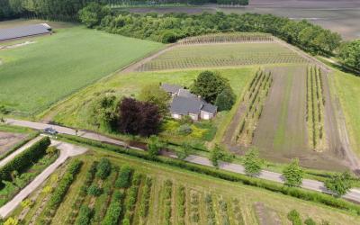 Vernhout 9