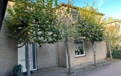 Buntbeek 3