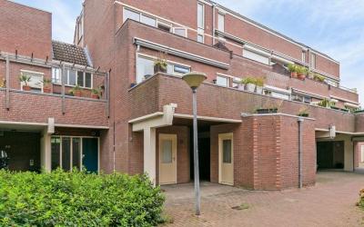 Braak 55