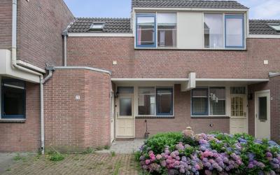 Braak 75