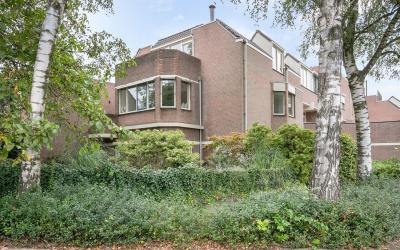 Braak 111