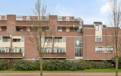 Braak 6