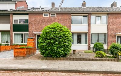 Lange Mees 64