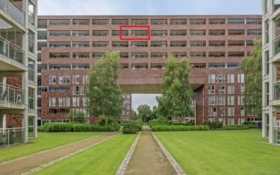Abdijtuinen 238