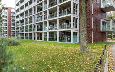 Abdijtuinen 304