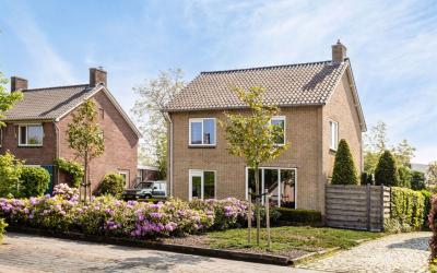 Locht 81