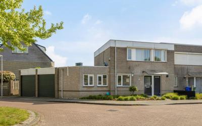 Hermelijn 19