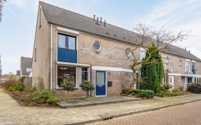 Steenmarter 10