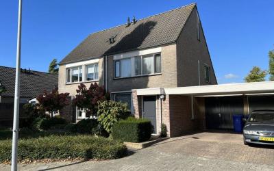 Steenmarter 3