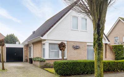 Zandhei 38