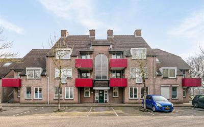 Schapendries 37