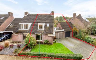 Boekweit 47