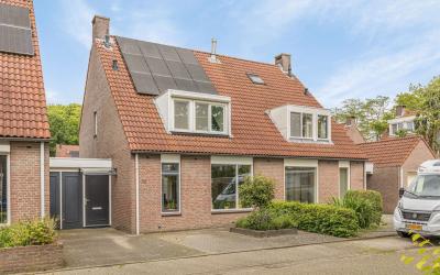 Boekweit 20