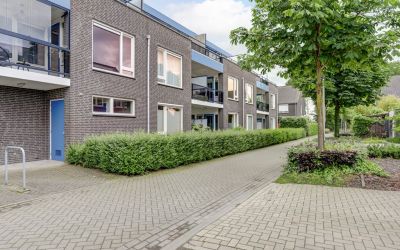 Vuursteen 51