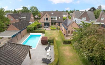 Driesboom 5