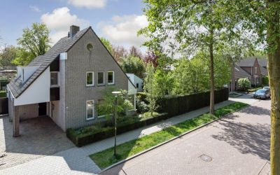 Vogelwikke 2
