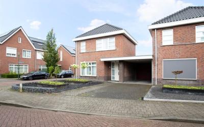 Beukenbos 2