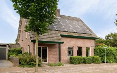 Guldenekker 45