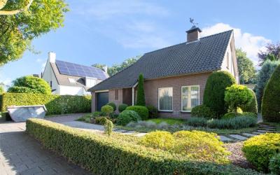 Koningsvaren 20