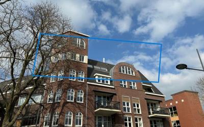 Gele Rijers. 44