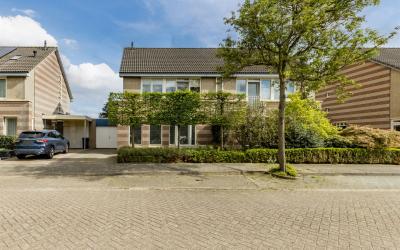 den Draal 5