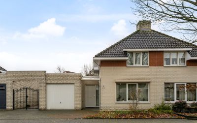 Reiger 7