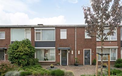 Dasstraat 3