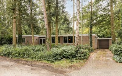 Lijsterlaan 8
