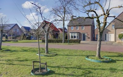 Hoeverstraat 50