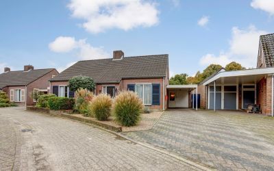 Kleine Kept 14