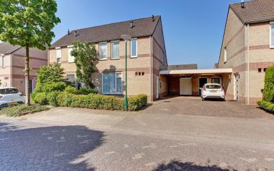 Schutsboom 25