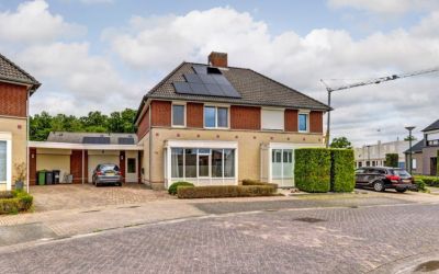 Schutsboom 79