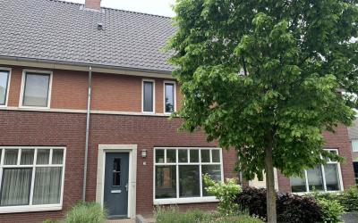 Elshouter 20