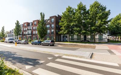 Brabantiala. 8-C