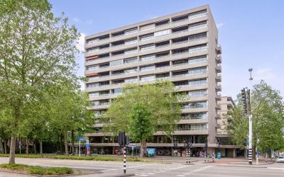 Elzentlaan 49