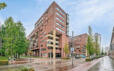 Lichtstraat 303