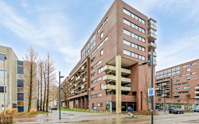Lichtstraat 317