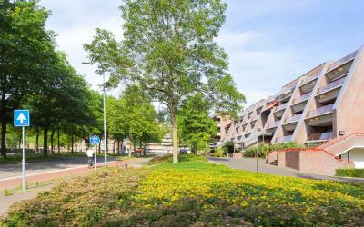 Borchmolen 70