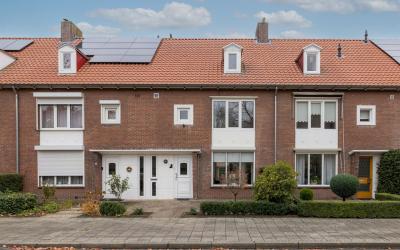 Willem Kloo. 38