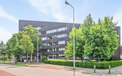 Willem de B. 50
