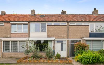 Groen van P. 20