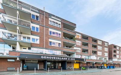 Genovevalaan 46