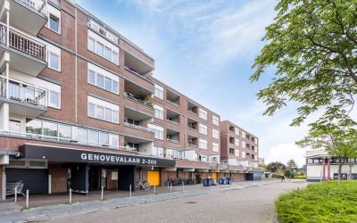 Genovevalaan 106