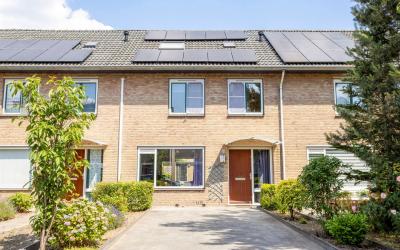 Baarle Hert. 50