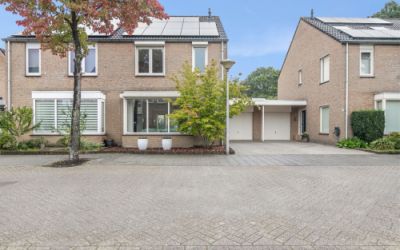 Robijnring 8