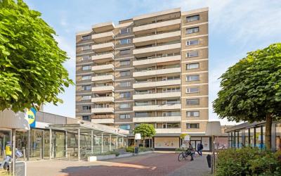 Wijngaardpl. 39
