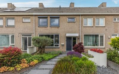 De Stoutheu. 83