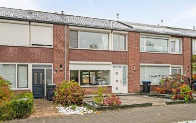 De Stoutheuvel 52