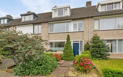 De Stoutheu. 84