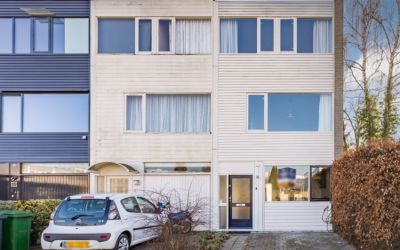 Haagbeemd 19